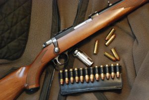 A Small Rifle with Big Performance